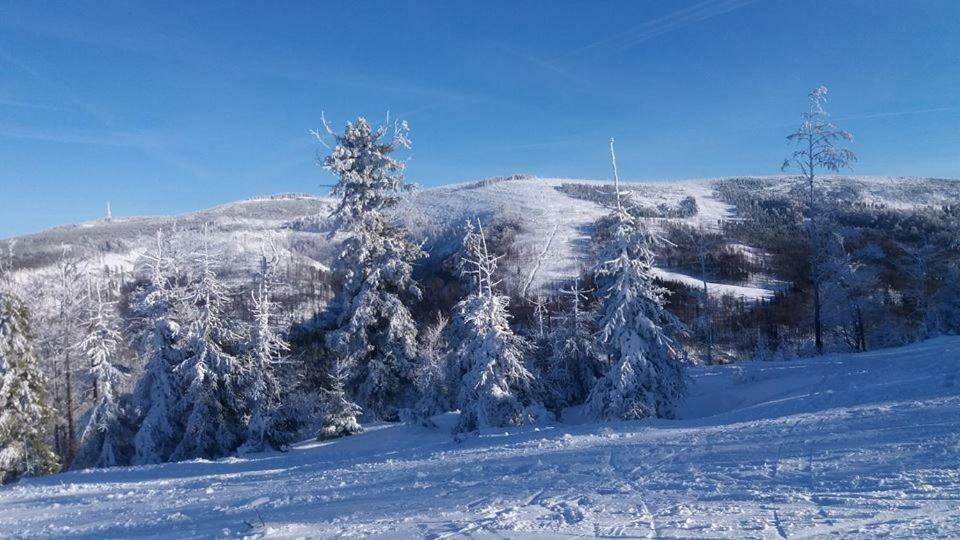 Domek Skalite W Szczyrku المظهر الخارجي الصورة